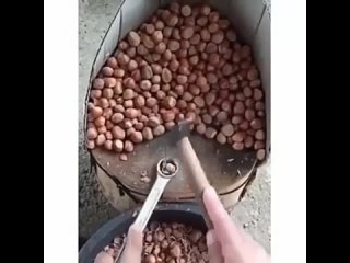 cracking nuts can be easier